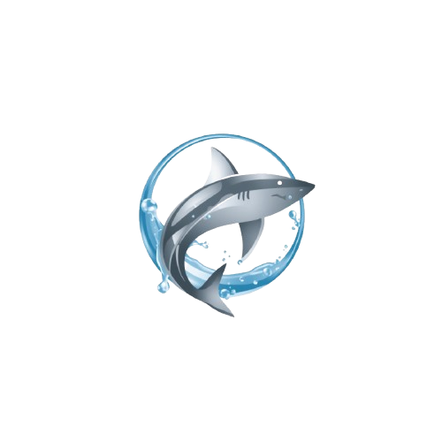Logo Autolavado TSB